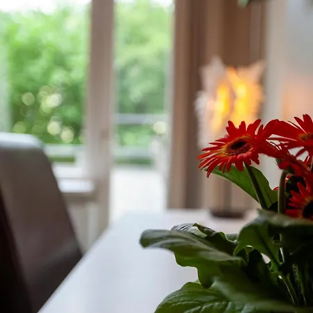 See-villa Hotel 3*